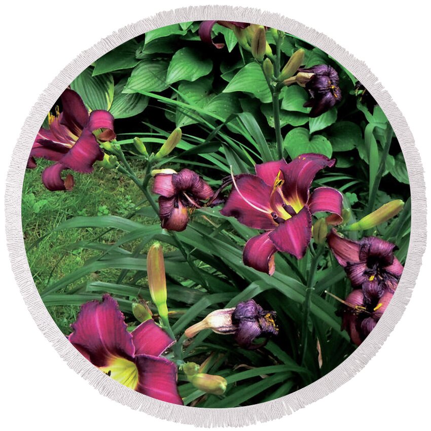 Lily Round Beach Towel featuring the photograph Fuchsia Lilies by Celtic Artist Angela Dawn MacKay