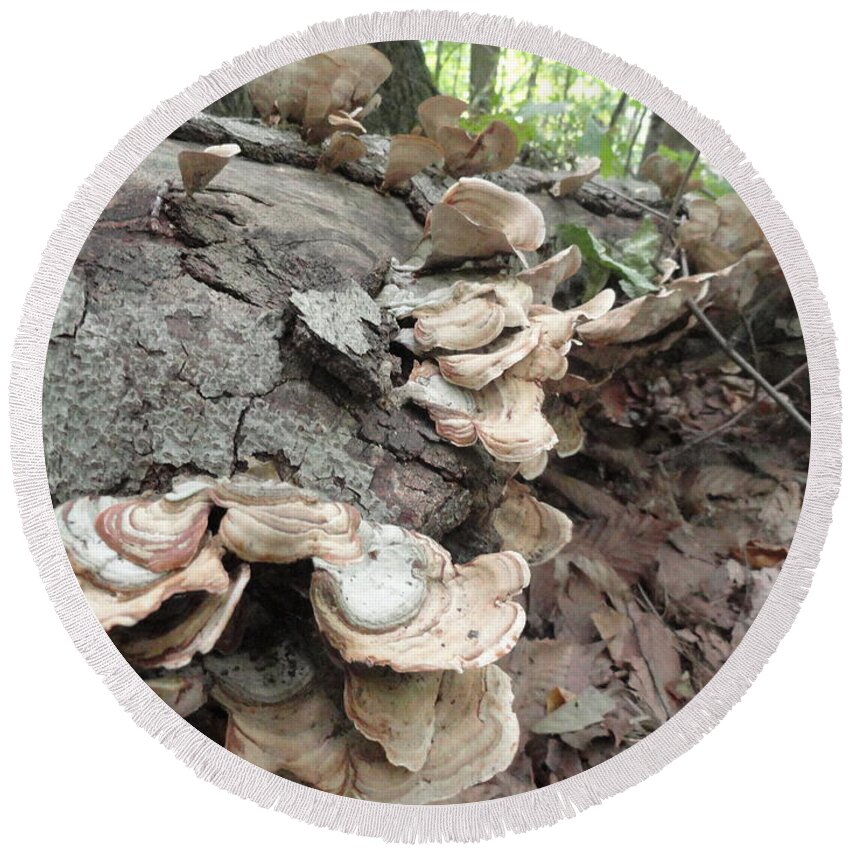 Trees Round Beach Towel featuring the photograph Fungus Among Us by Trish Hale