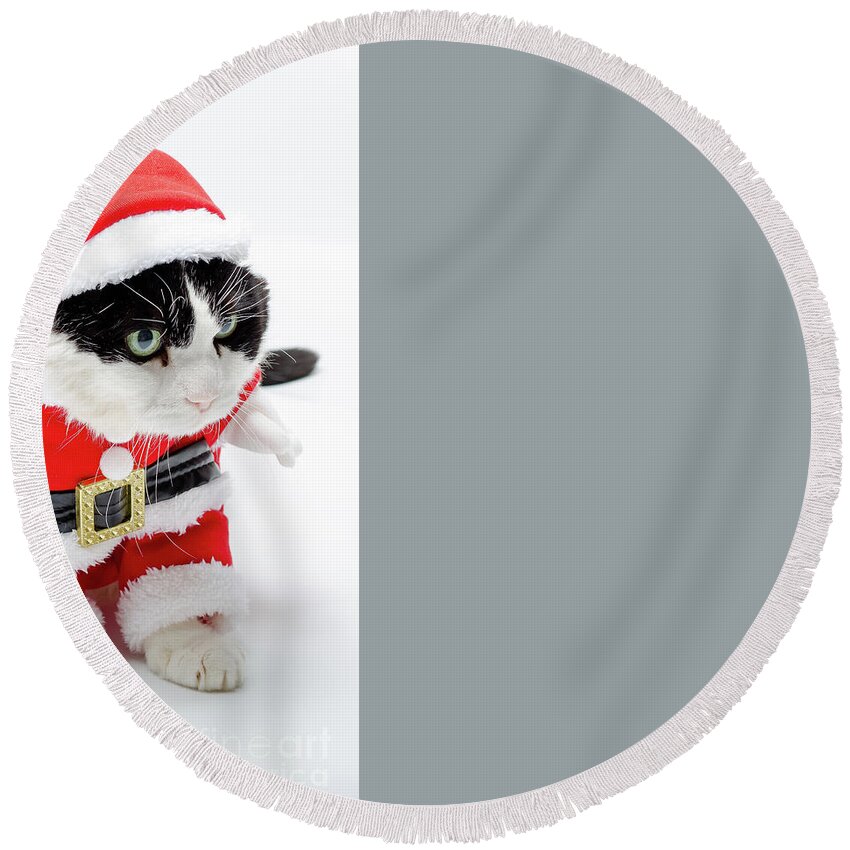 Cat Round Beach Towel featuring the photograph funny Christmas kitten by Benny Marty