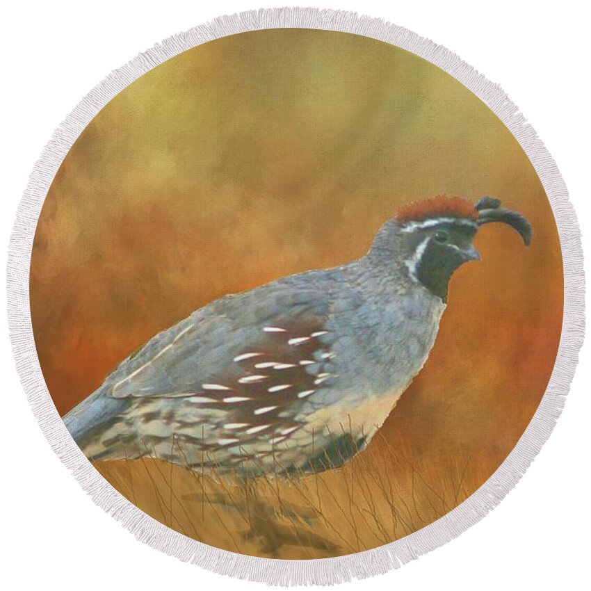 Quail Round Beach Towel featuring the photograph Gambel Quail in Death Valley by Janette Boyd