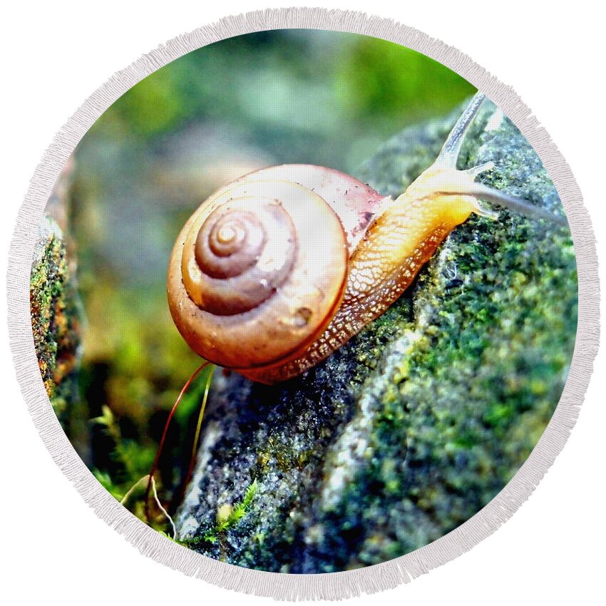 Nature Round Beach Towel featuring the photograph Garden Snail by Amy McDaniel