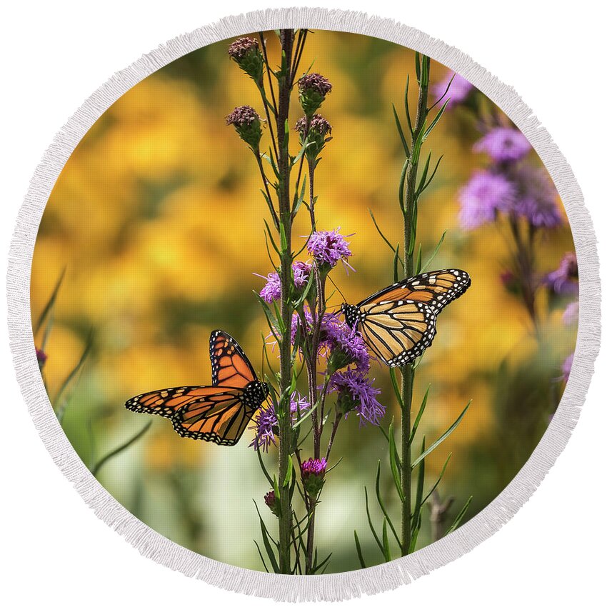 Monarch Butterflies Round Beach Towel featuring the photograph Gardeners Dream by Thomas Young