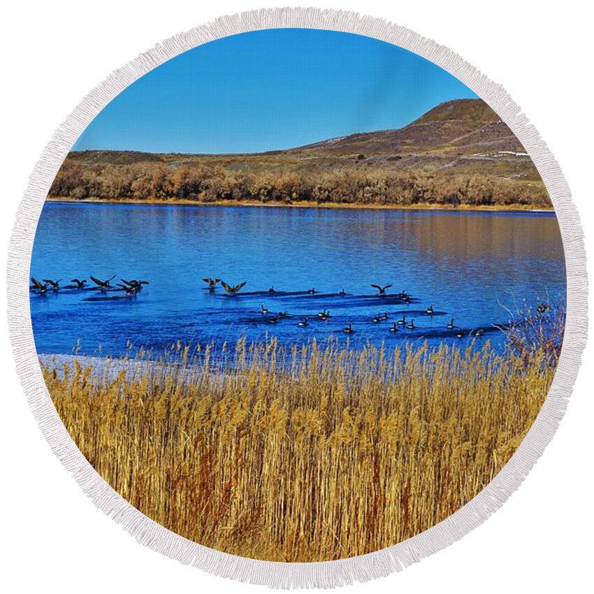 Geese Round Beach Towel featuring the photograph Geese Gathering by Merle Grenz