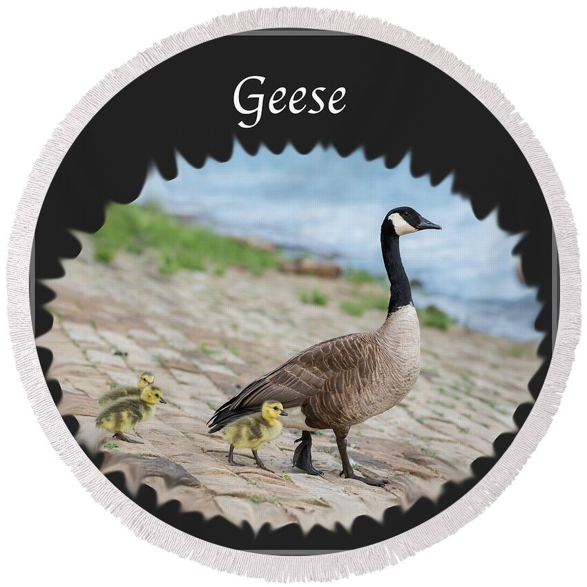 Geese Round Beach Towel featuring the photograph Geese in the Clouds by Holden The Moment