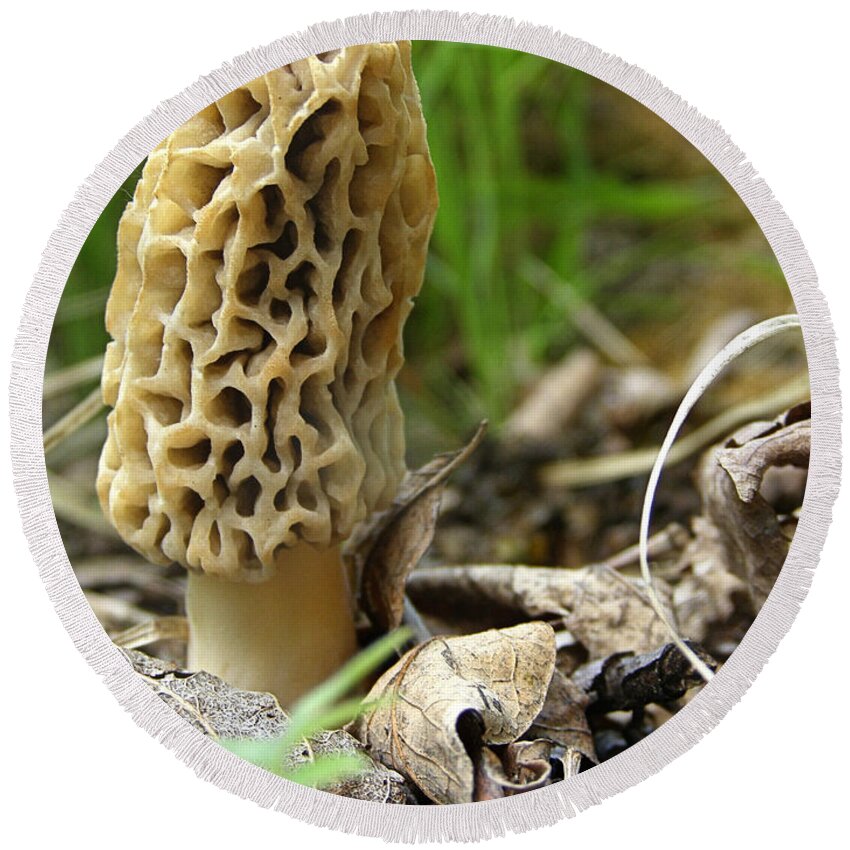 Morel Round Beach Towel featuring the photograph Gem of the Forest - Morel Mushroom by Angie Rea