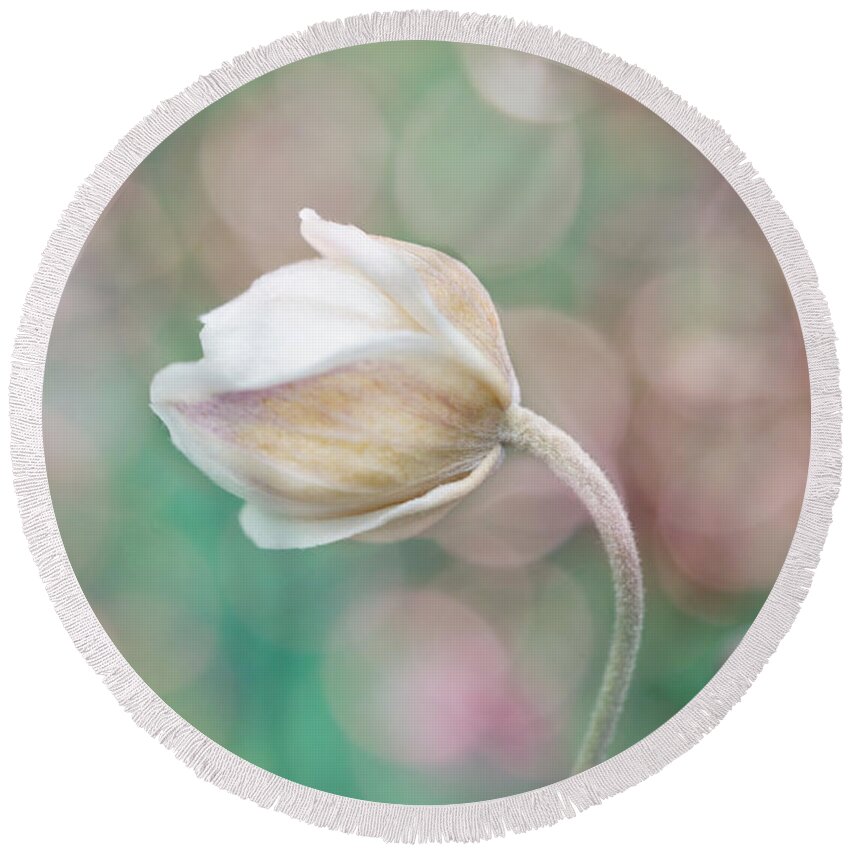 Gentle Round Beach Towel featuring the photograph Gentle White Flower 2 by Lilia S