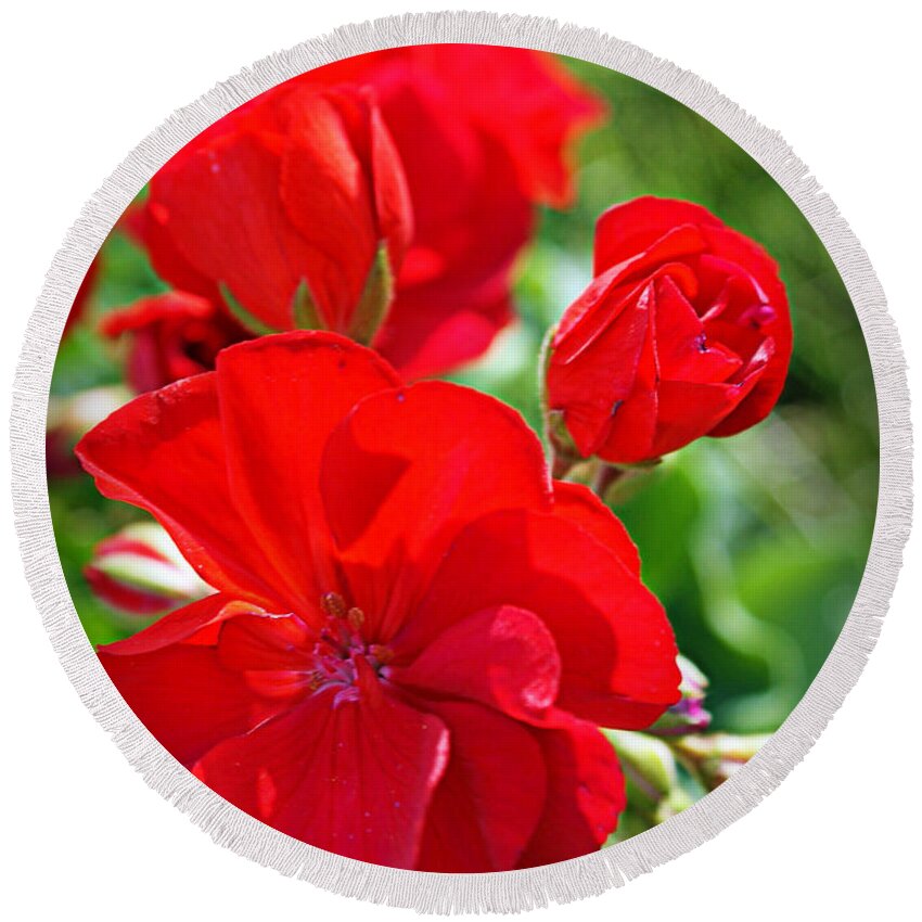 Red Round Beach Towel featuring the photograph Geraniums by Cricket Hackmann