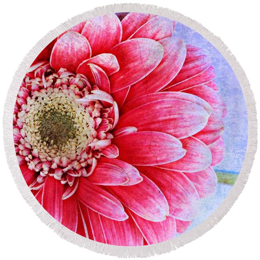 Gerbera Round Beach Towel featuring the photograph Gerbera Texture by Clare Bevan