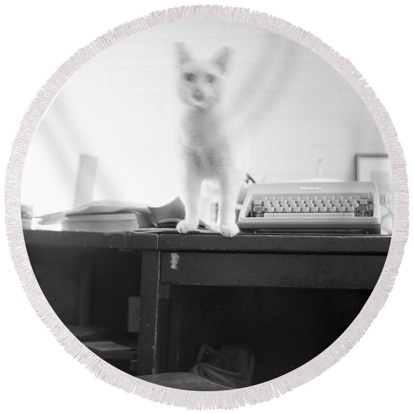 Cat Round Beach Towel featuring the photograph Ghost Cat, with Typewriter by Jeremy Butler