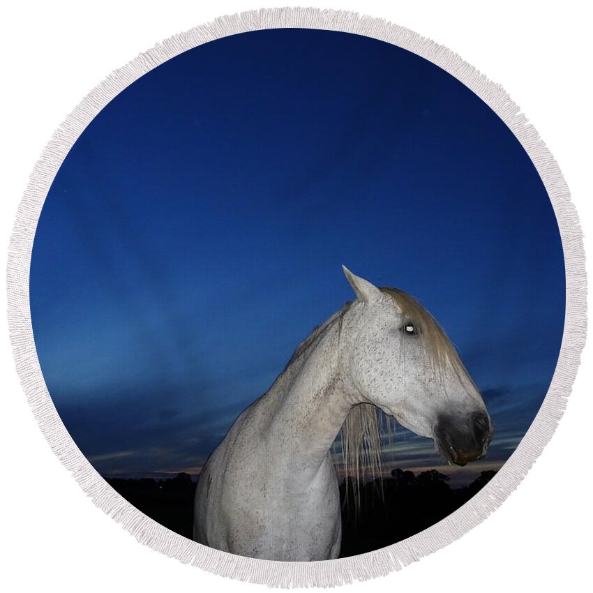 Horse Round Beach Towel featuring the photograph Ghost Horse by Susan Baker