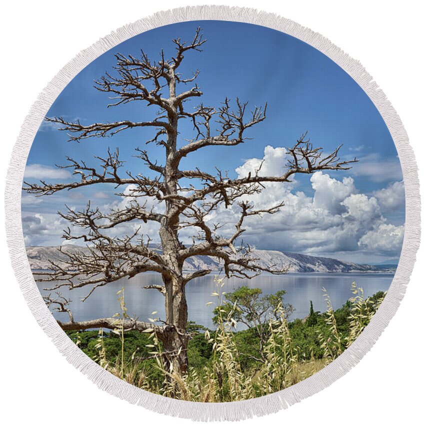 Top Artist Round Beach Towel featuring the photograph Ghost Tree by Norman Gabitzsch