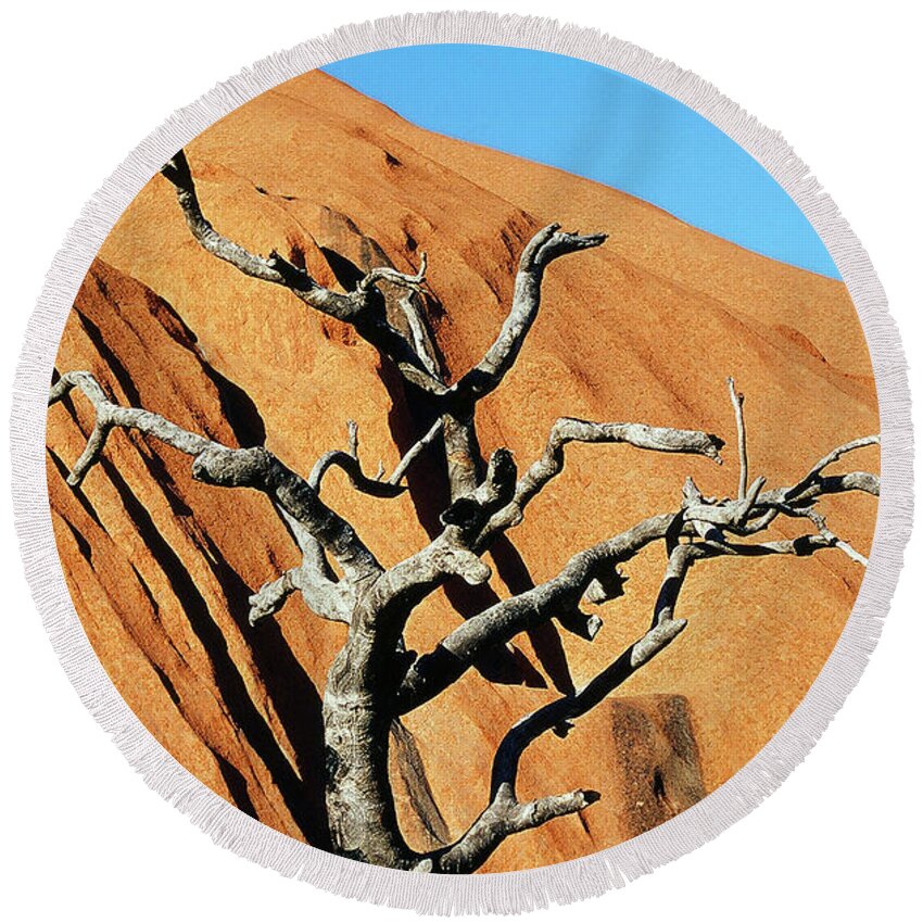 Tree Round Beach Towel featuring the photograph Ghost Tree by Ted Keller
