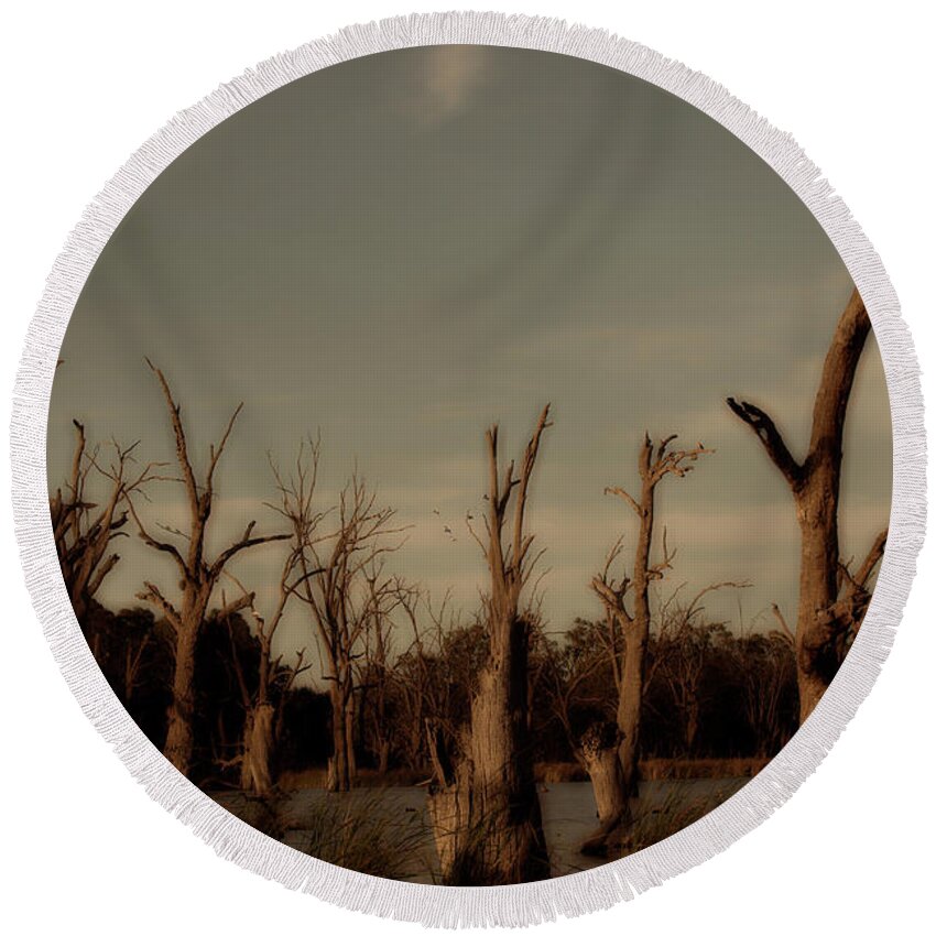 Tree Round Beach Towel featuring the photograph Ghostly Trees by Douglas Barnard