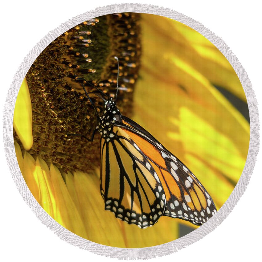Cheryl Baxter Photography Round Beach Towel featuring the photograph Giant Sunflower with Monarch by Cheryl Baxter