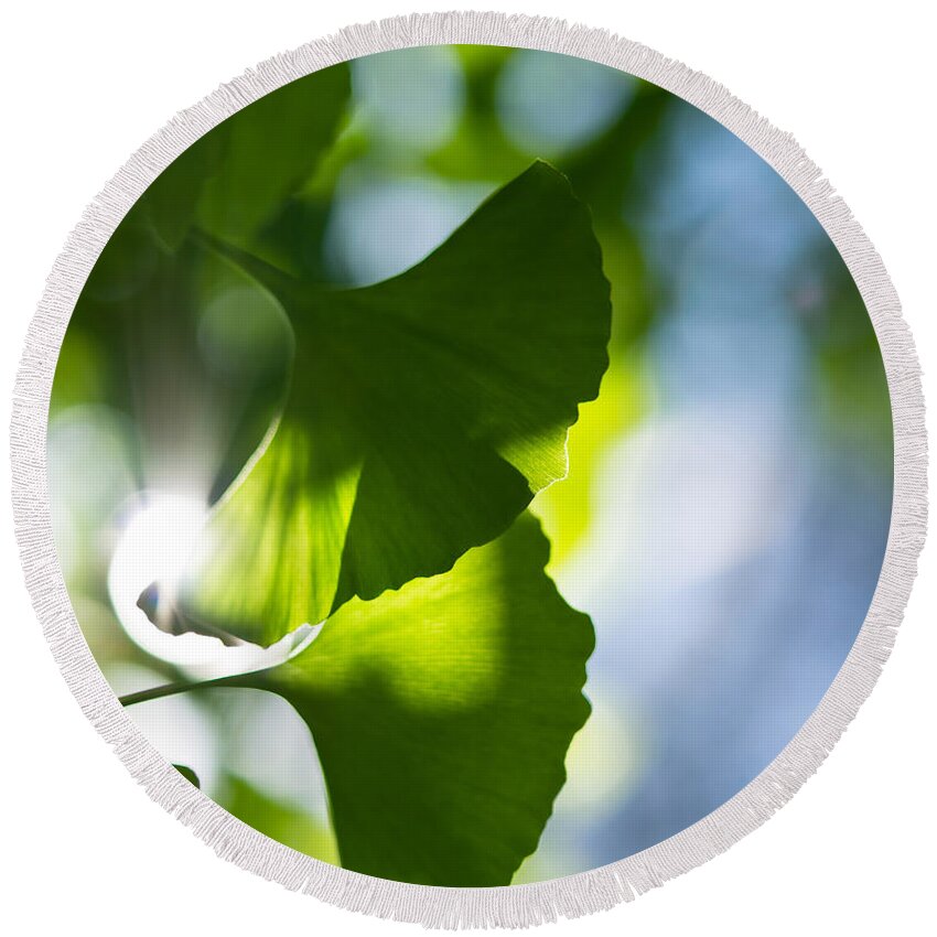 Da*55 1.4. Nature Round Beach Towel featuring the photograph Gingko Leaves in the Sun by Lori Coleman