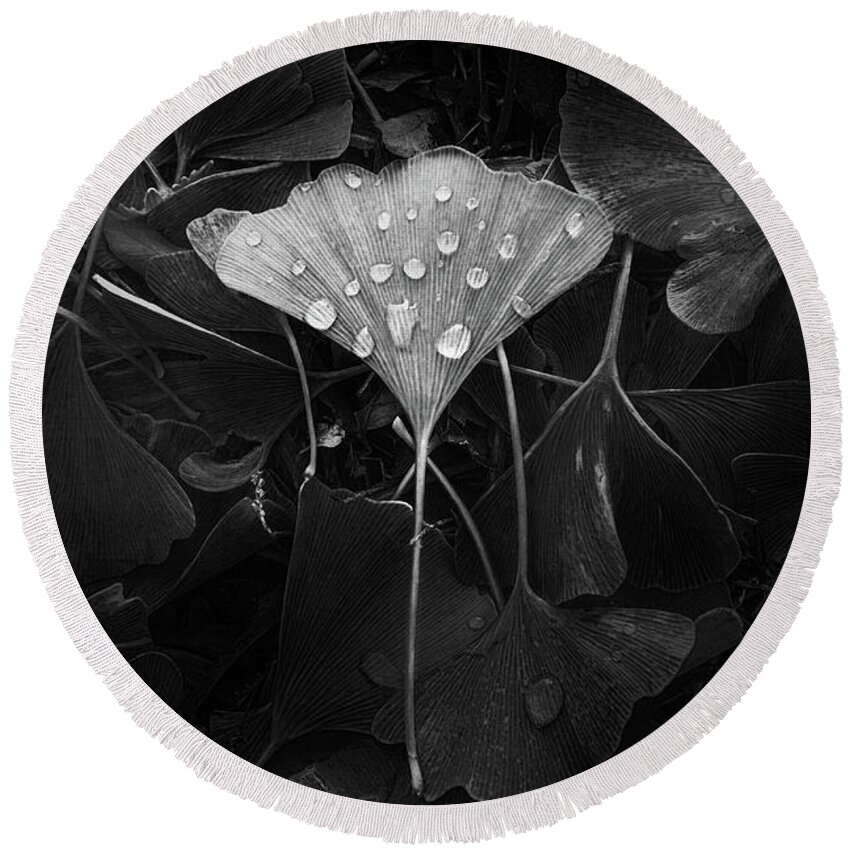 Leaf Round Beach Towel featuring the photograph Ginkgo by Scott Norris