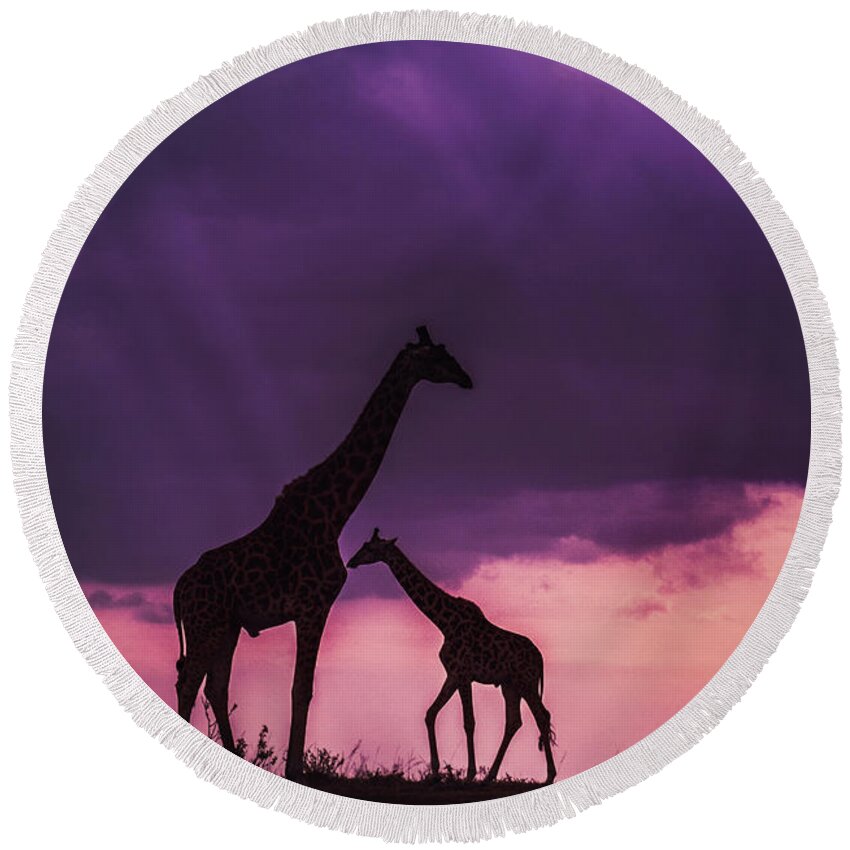 Designs Similar to Giraffe Family Silhouette