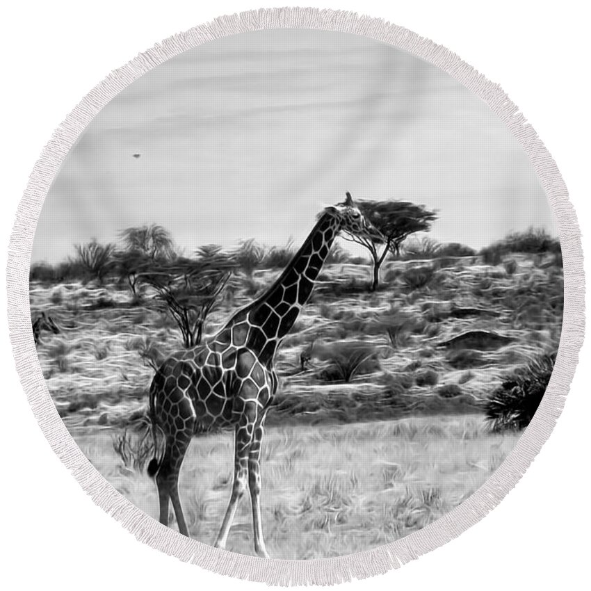Giraffe Round Beach Towel featuring the photograph Giraffes in Black and White by Cathy Anderson