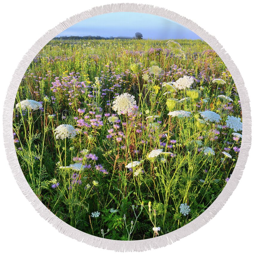 Black Eyed Susan Round Beach Towel featuring the photograph Glacial Park Wildflower Prairie by Ray Mathis