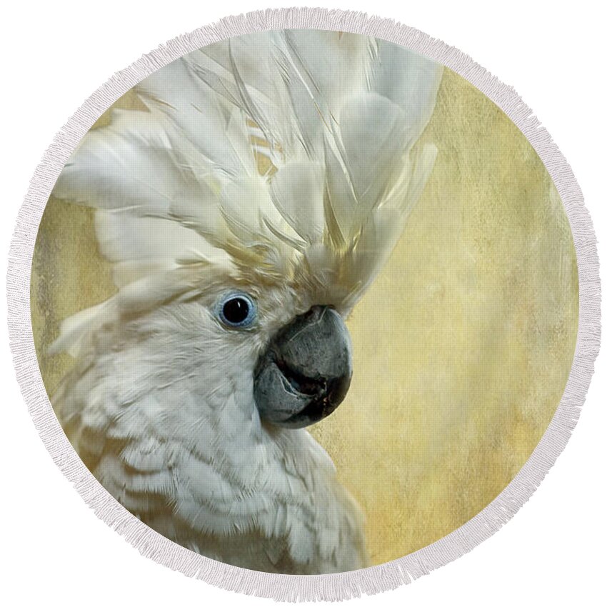 Bird Round Beach Towel featuring the photograph Glamour Girl by Lois Bryan