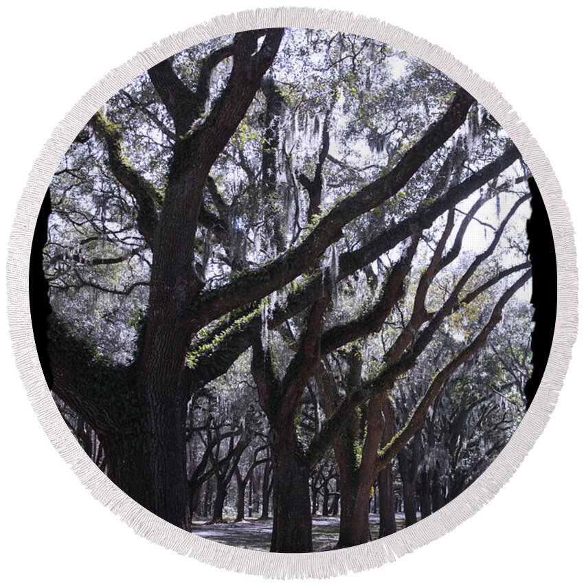 Souther Trees Round Beach Towel featuring the photograph Glorious Live Oaks with Framing by Carol Groenen
