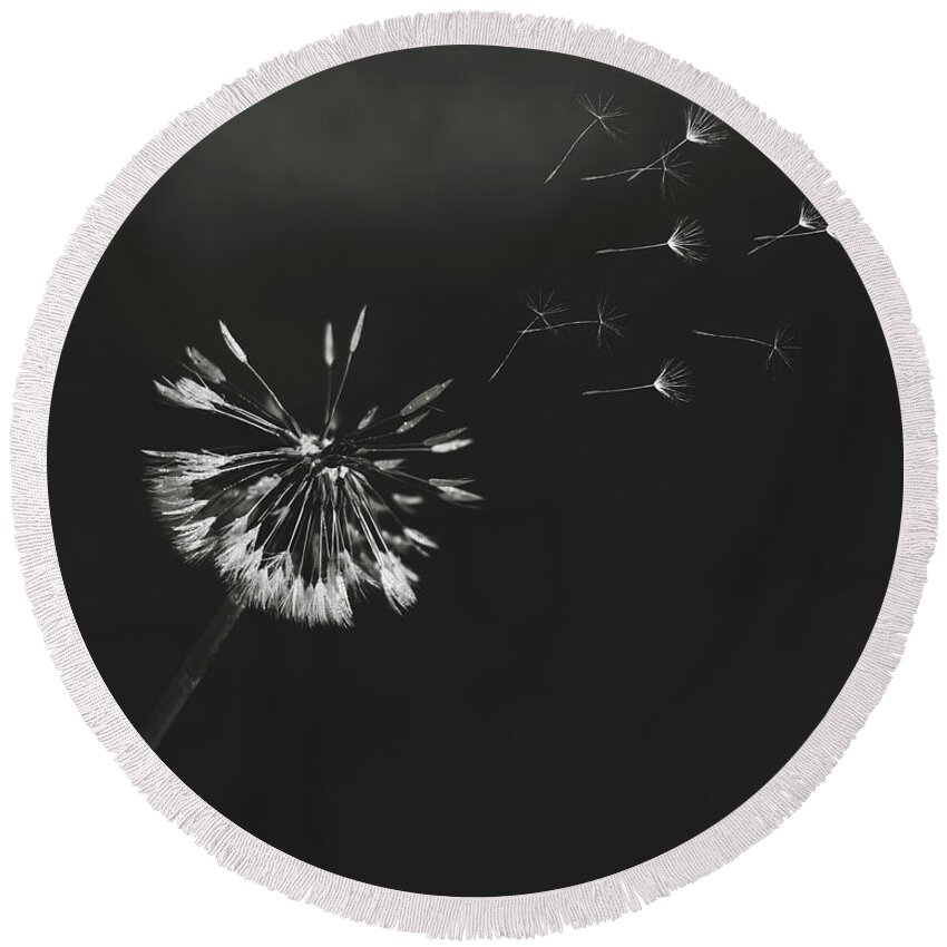 Dandelion Round Beach Towel featuring the photograph Go Forth BW by Heather Applegate
