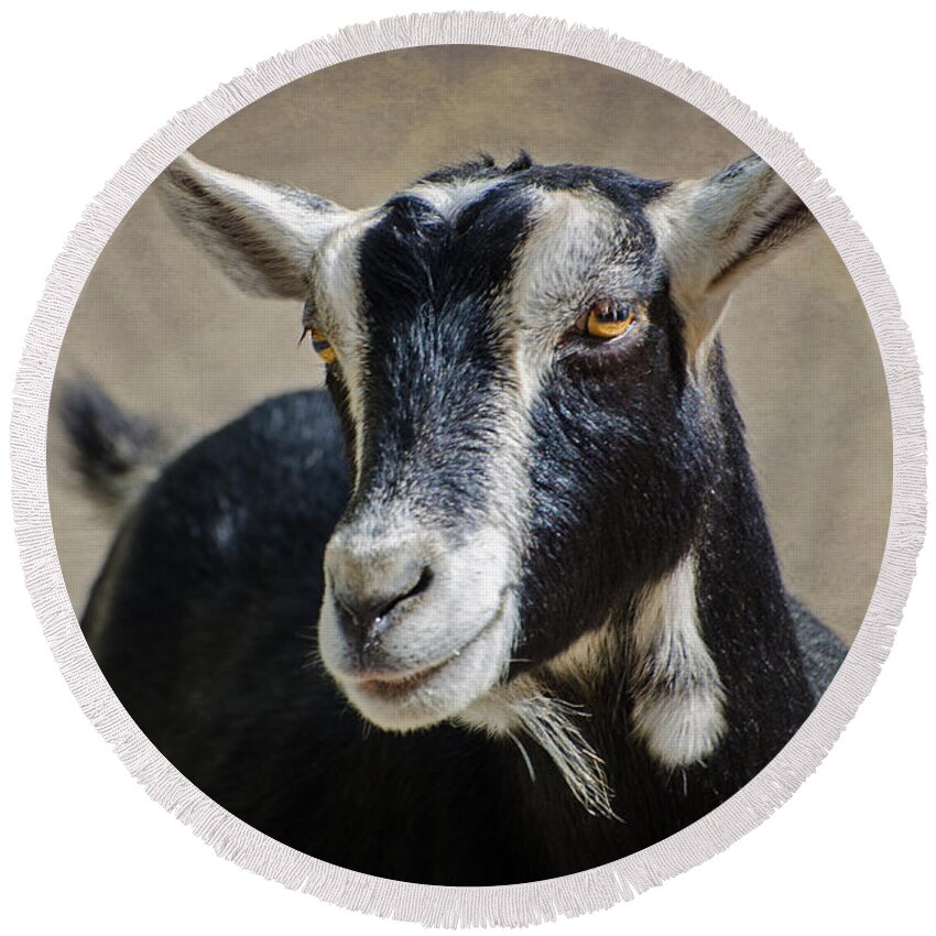 Goat Round Beach Towel featuring the photograph Goat 2 by Susan McMenamin