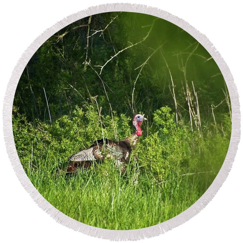 Wildlife Round Beach Towel featuring the photograph Gobble Gobble by John Benedict