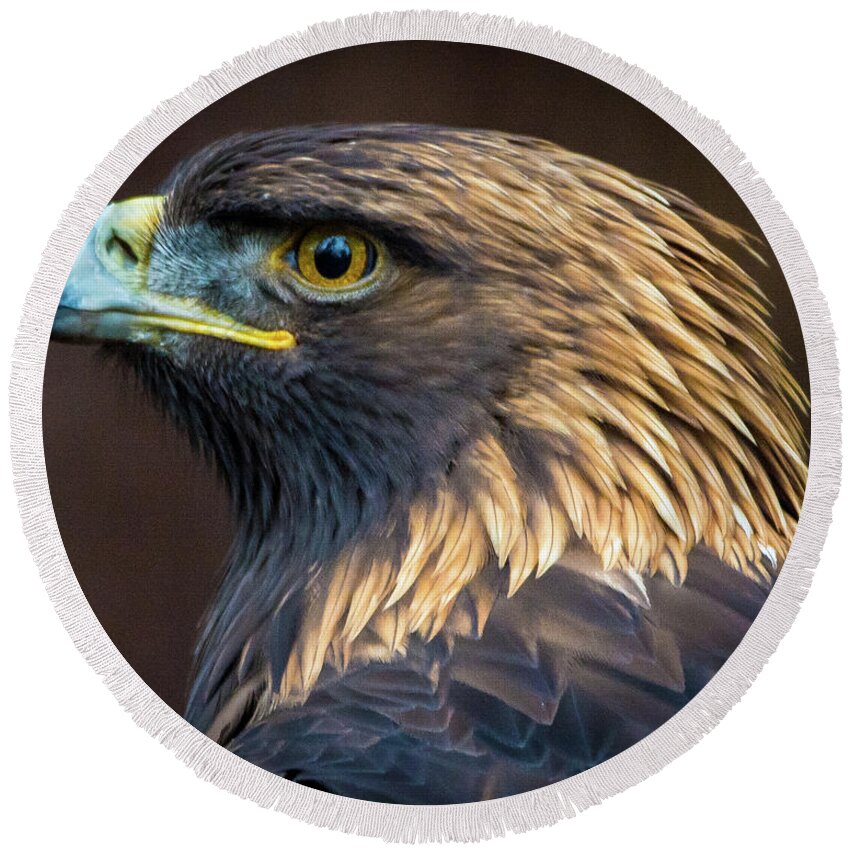 Eagles Round Beach Towel featuring the photograph Golden Eagle 2 by Jason Brooks