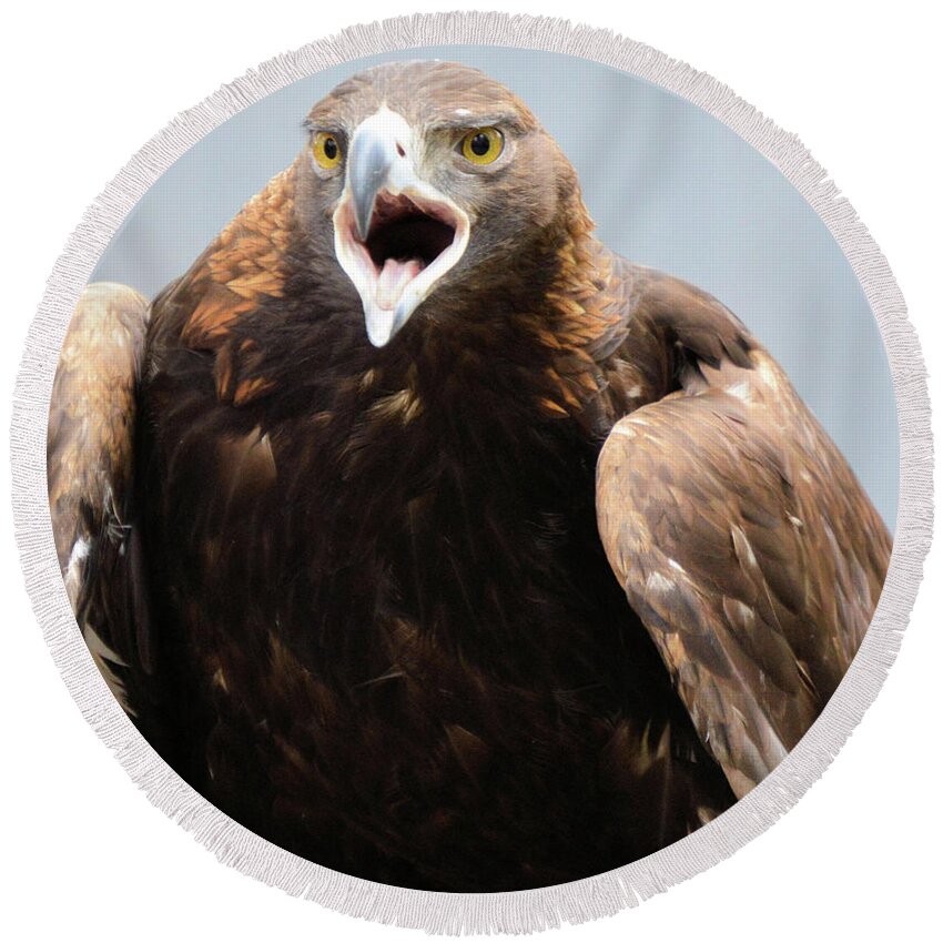 Eagles Round Beach Towel featuring the photograph Golden Eagle by Charles HALL