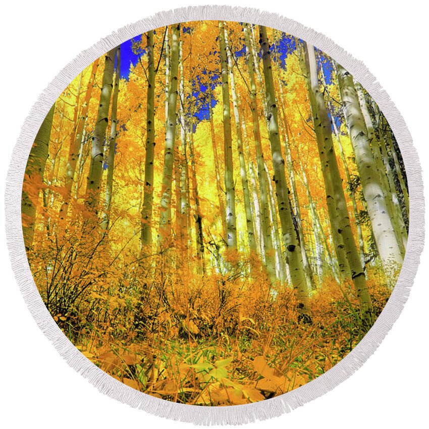 Colorful Colorado Round Beach Towel featuring the photograph Golden Light of the Aspens - Colorful Colorado - Aspen Trees by Jason Politte