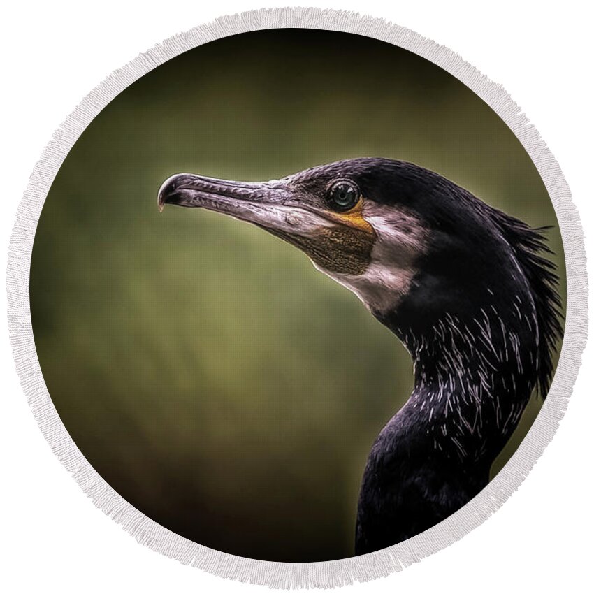 Cormorant Round Beach Towel featuring the photograph Gonzo the cormorant by Hans Zimmer