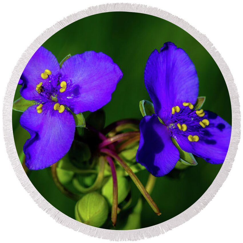 Flower Round Beach Towel featuring the photograph Good Morning Goodbye by Jeff Phillippi