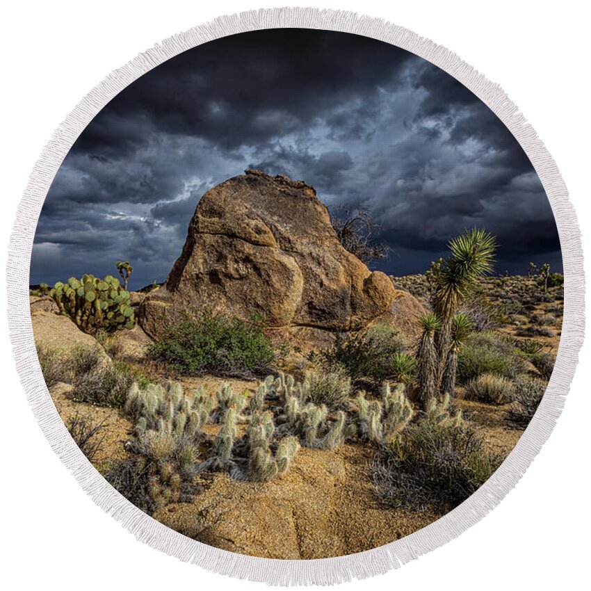 Agave Round Beach Towel featuring the photograph Good vs Evil by Peter Tellone