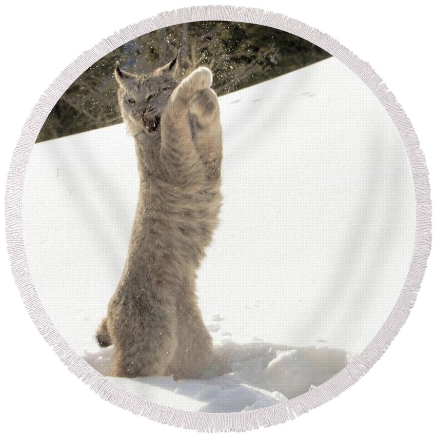 Lynx Round Beach Towel featuring the photograph Got Cha by Patricia Dennis