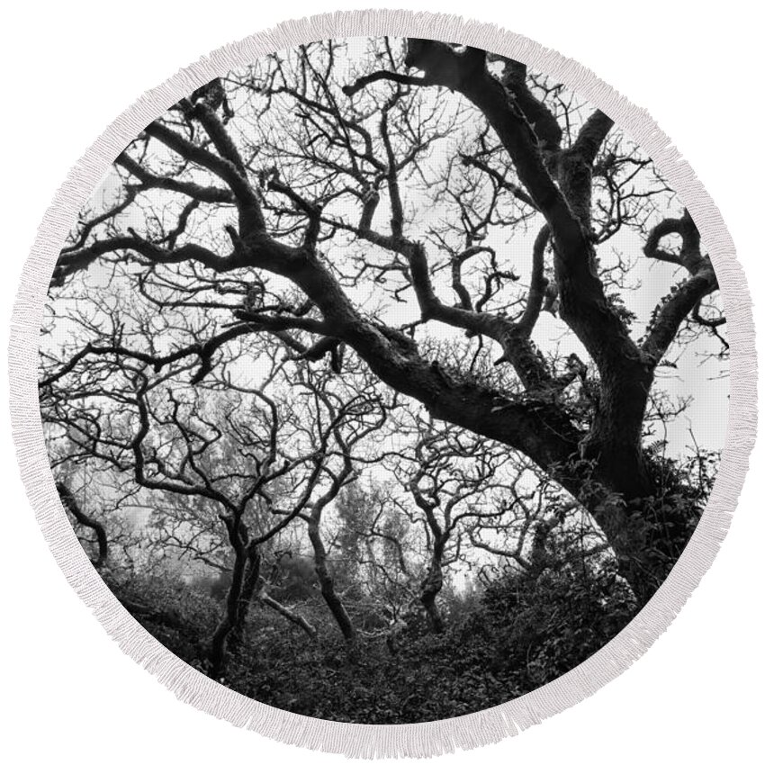 Gothic Round Beach Towel featuring the photograph Gothic Woods II by Marco Oliveira