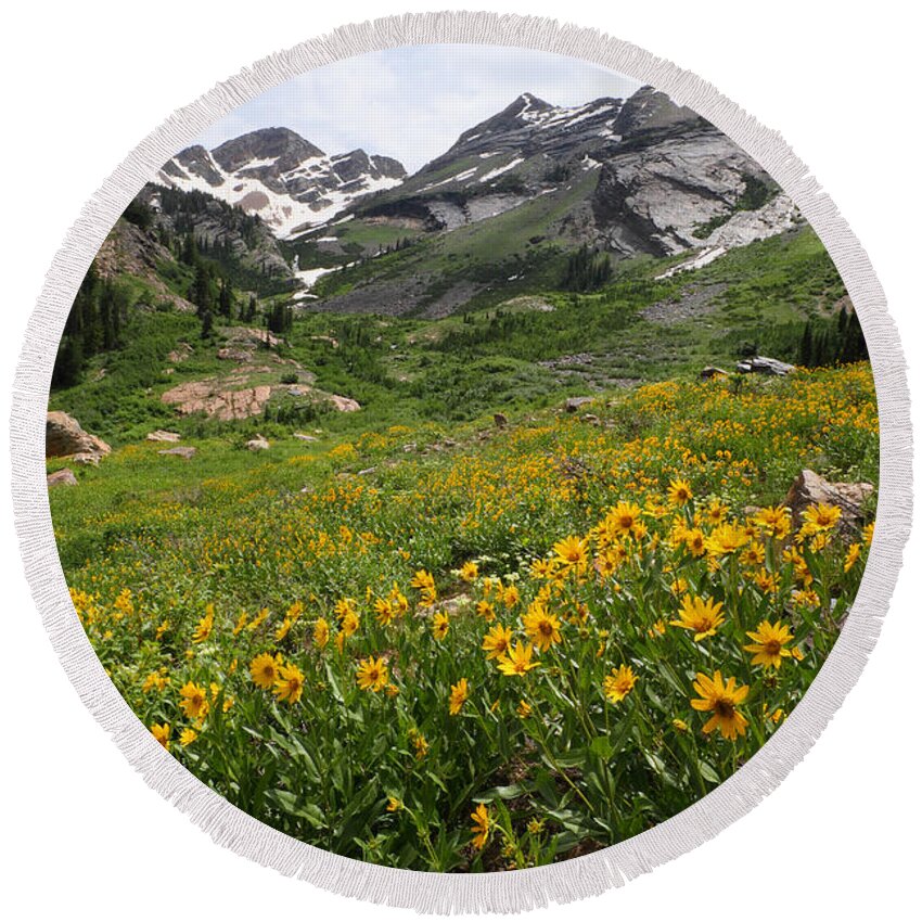 Landscape Round Beach Towel featuring the photograph Grandmothers Meadow - Broads Fork by Brett Pelletier