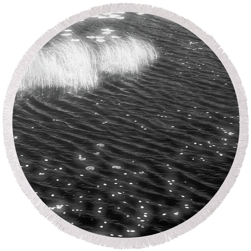 Black And White Round Beach Towel featuring the photograph Grass and Water and Lilly Pads BW2 by Lyle Crump