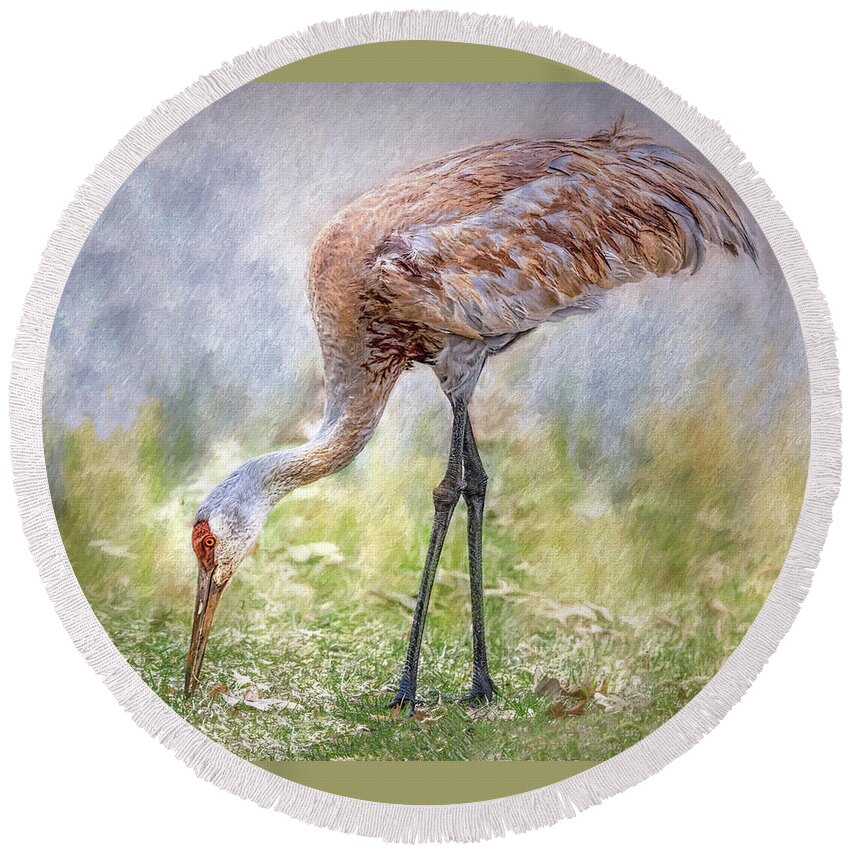 Sandhill Crane Round Beach Towel featuring the photograph Grazin' In The Grass by Wes Iversen