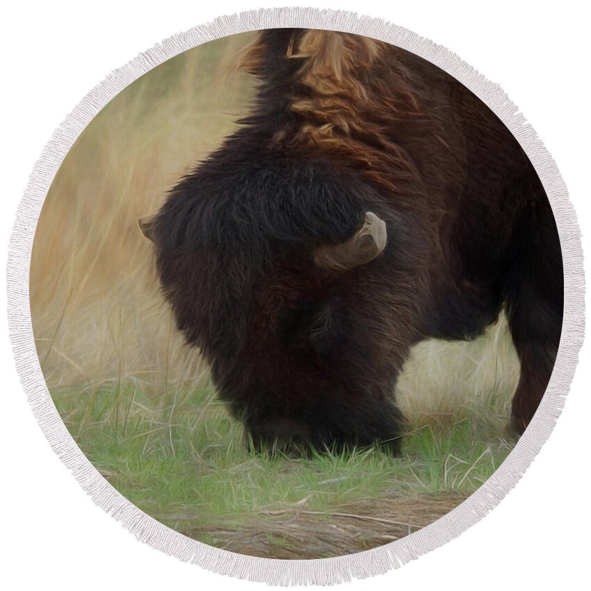 American Bison Round Beach Towel featuring the digital art Grazing Buffalo by Ernest Echols