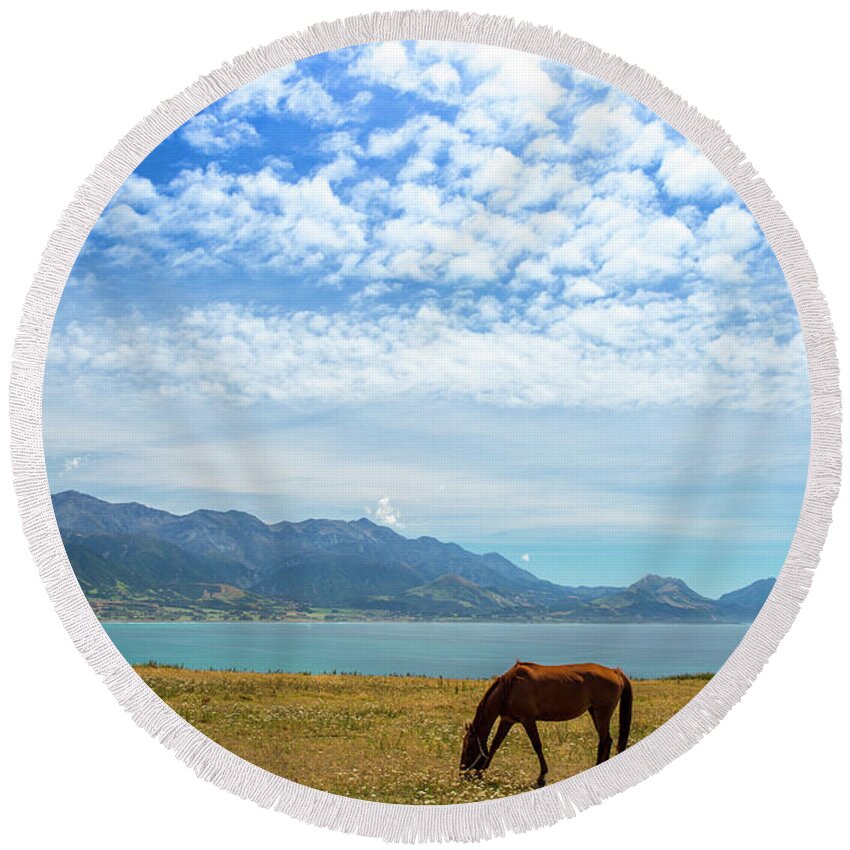 Grazing Horse Round Beach Towel featuring the photograph Grazing horse at Kaikoura by Sheila Smart Fine Art Photography