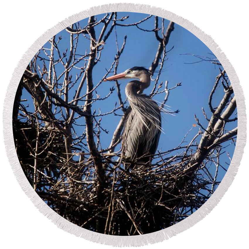 Blue Heron Round Beach Towel featuring the photograph Great Blue Heron - 1 by David Bearden