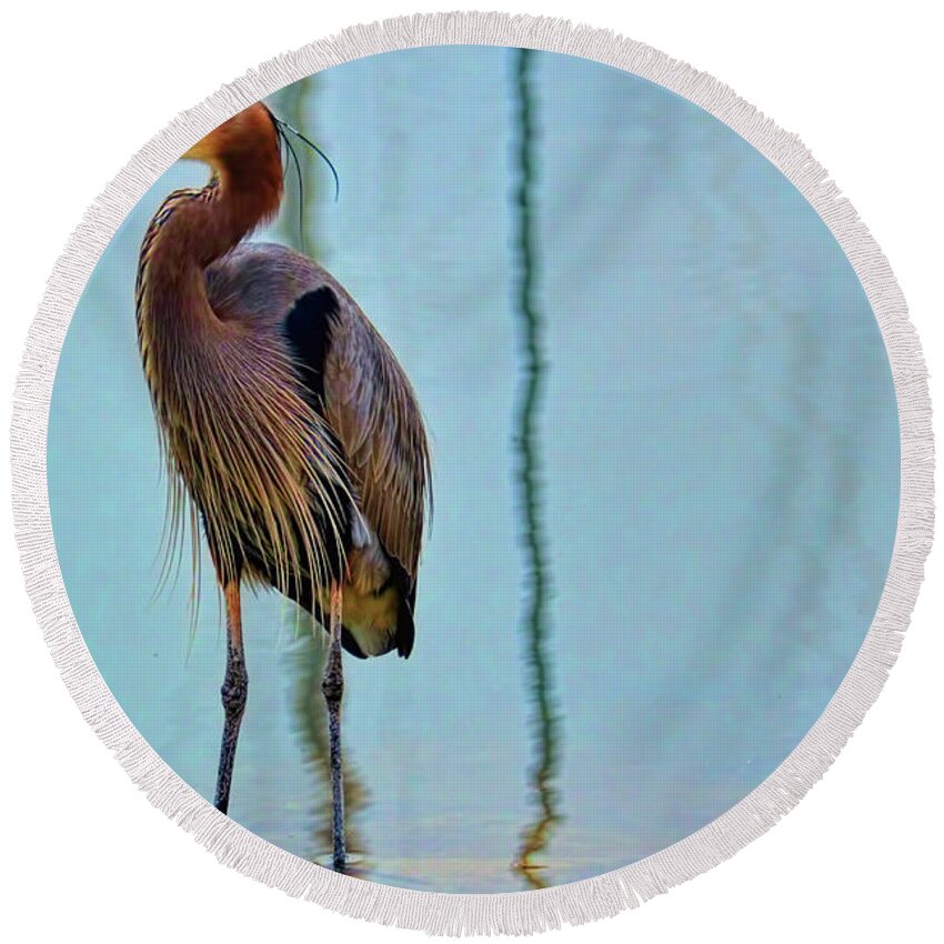 Great Blue Heron Round Beach Towel featuring the photograph Great Blue Heron by Diana Mary Sharpton