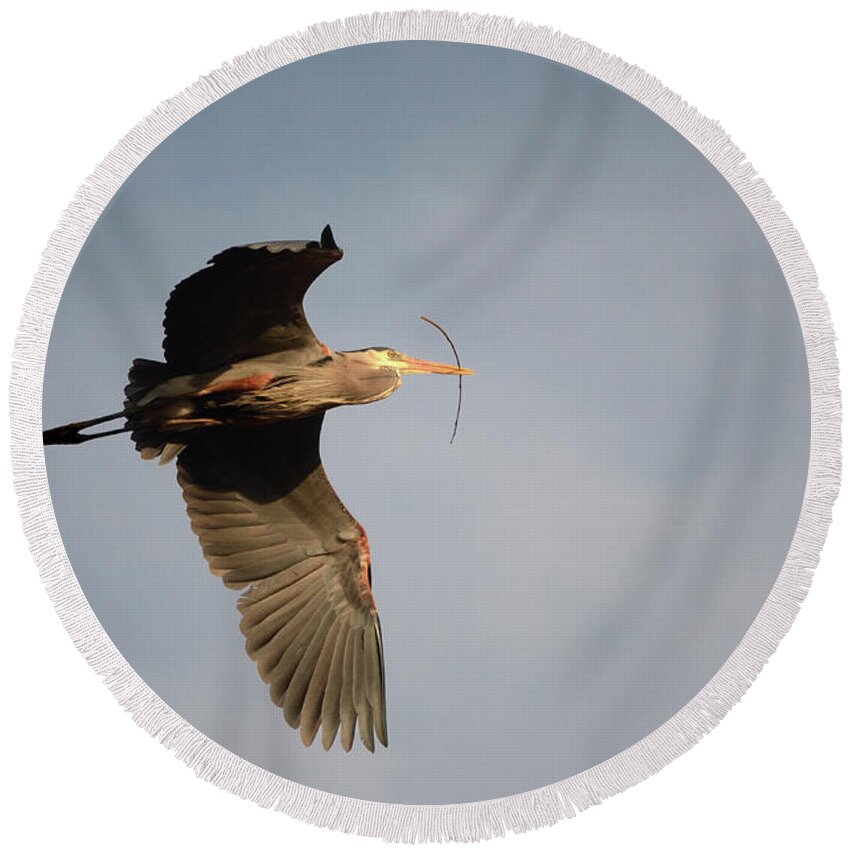 Adult Round Beach Towel featuring the photograph Great Blue Heron In Flight by Ann Bridges