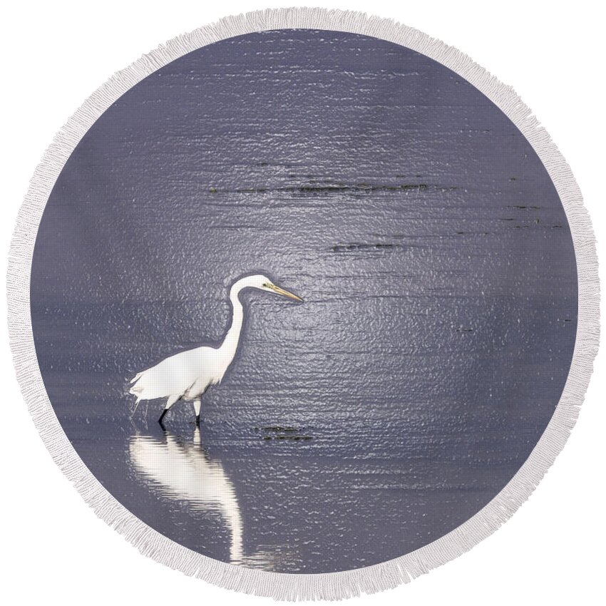 Great Egret Round Beach Towel featuring the photograph Great Egret by Steven Sparks