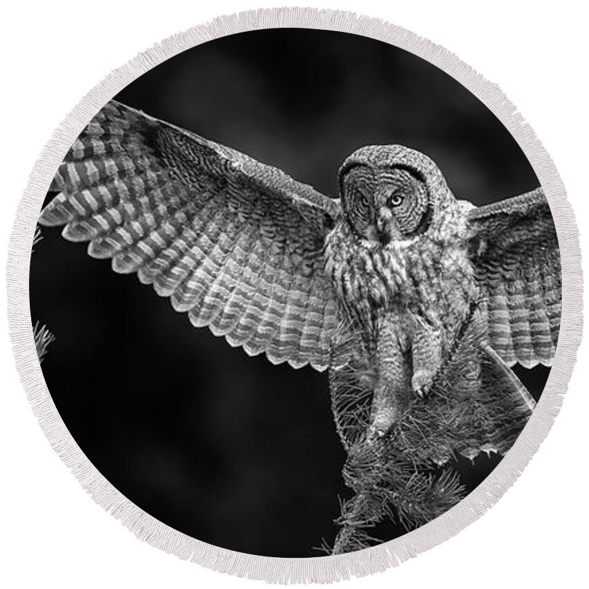 Great Gray Owl Round Beach Towel featuring the photograph Great Gray Owl Black and White by Max Waugh