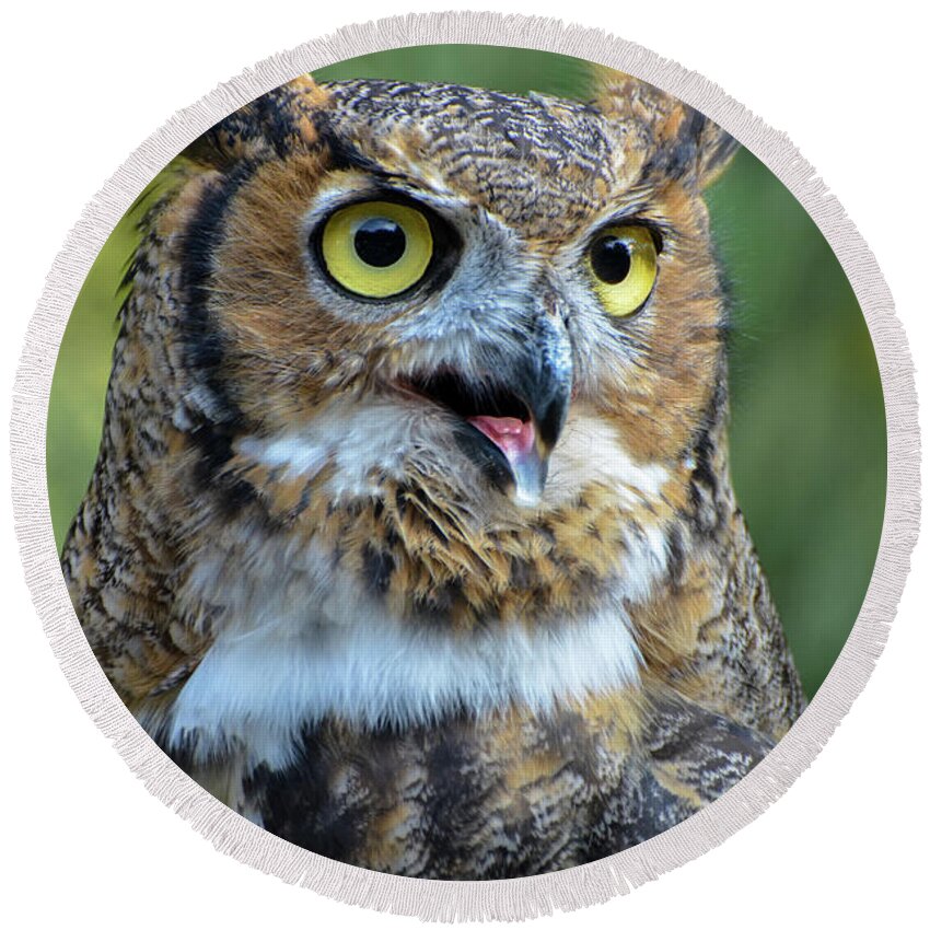 Great Horned Owl Round Beach Towel featuring the photograph Great Horned Owl Smiling by Amy Porter