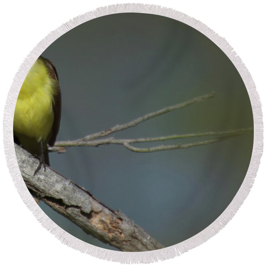 Fly Catcher Round Beach Towel featuring the photograph Great Kiskadee by Frank Madia