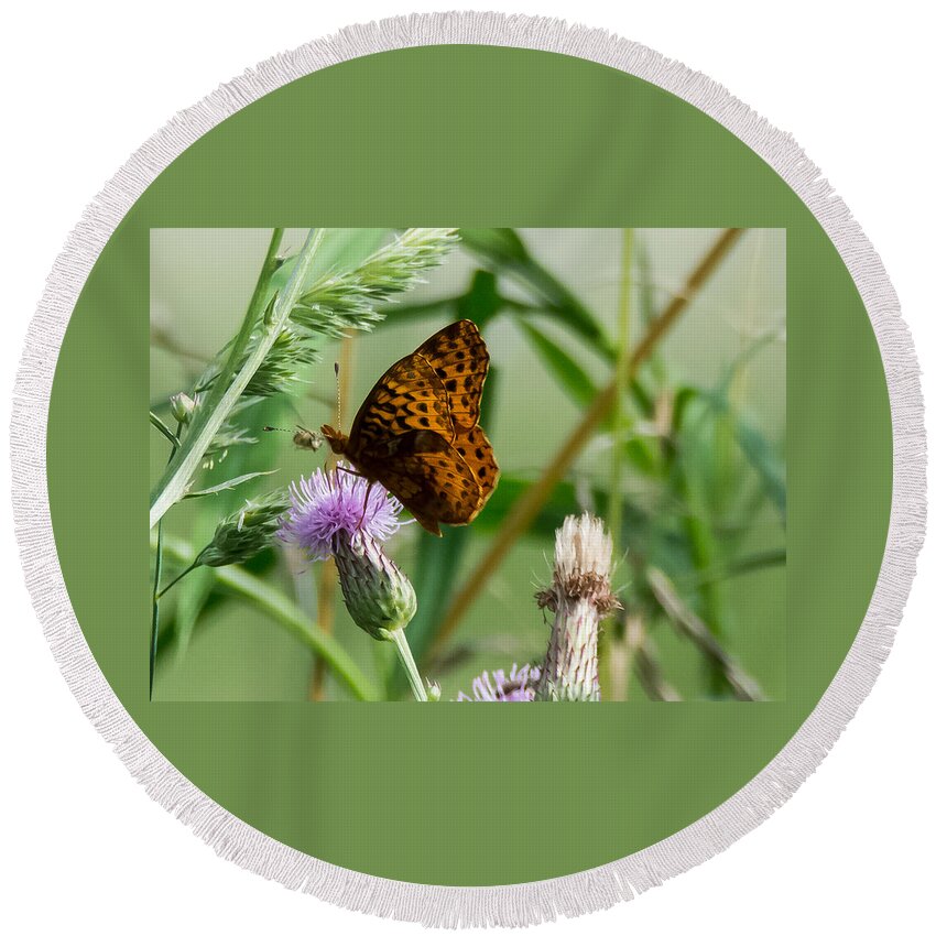 Great Spangled Fritillary Round Beach Towel featuring the photograph Great Spangled Fritillary by Holden The Moment