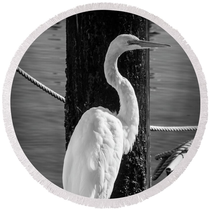 Great White Heron Round Beach Towel featuring the photograph Great White Heron In Black And White by Garry Gay